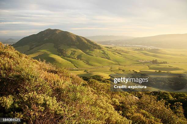 green valley with mountain - san luis obispo californië stockfoto's en -beelden