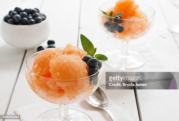 cantaloupe granita with blueberries horizontal - sorbet stock pictures, royalty-free photos & images