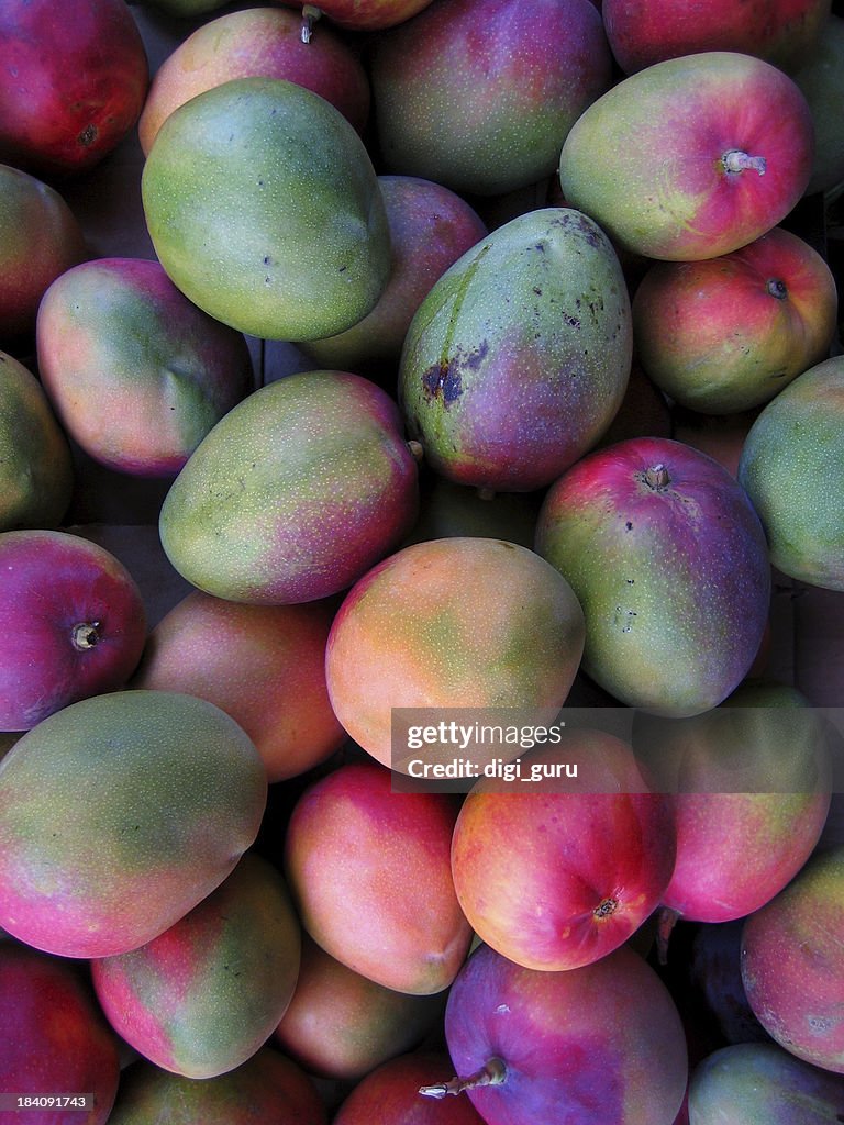 Mango mania