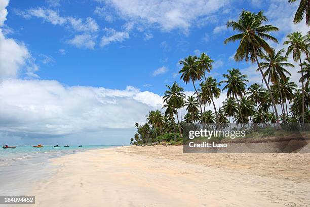 tropischen strand (brasilien - maceió stock-fotos und bilder