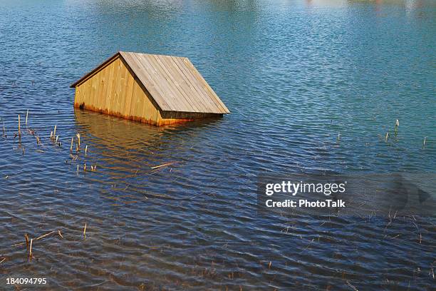 house floating on water - xlarge - climate refugees stock pictures, royalty-free photos & images