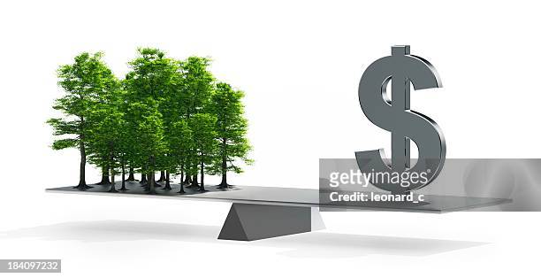 balance between money and the environment - skog siluett bildbanksfoton och bilder