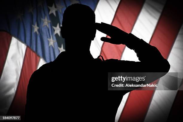 saluting to usa flag - troops saluting stock pictures, royalty-free photos & images