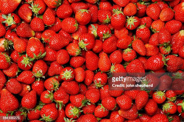 background,  hundreds of ripe strawberries - strawberry stock pictures, royalty-free photos & images