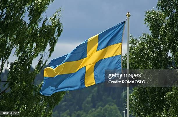 swedish flag in sun and wind, sweden - berk stockfoto's en -beelden