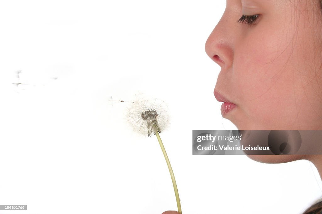 Dandelion with girl