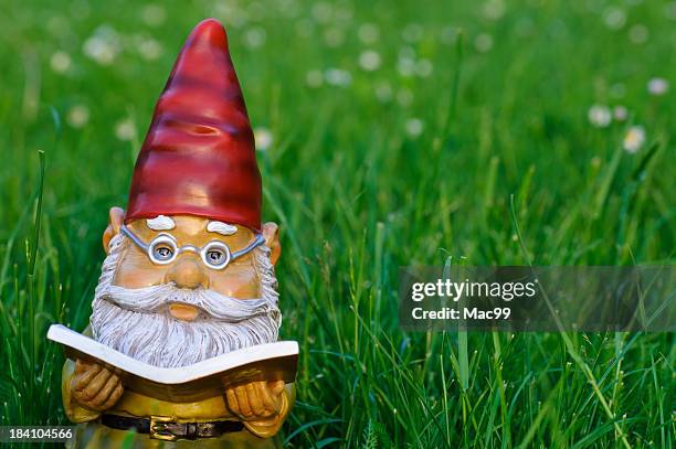 garden gnome reading book - gnome collection stock pictures, royalty-free photos & images