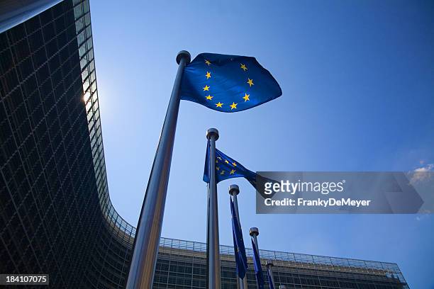 european flags in brussels - europeiska kommissionen bildbanksfoton och bilder