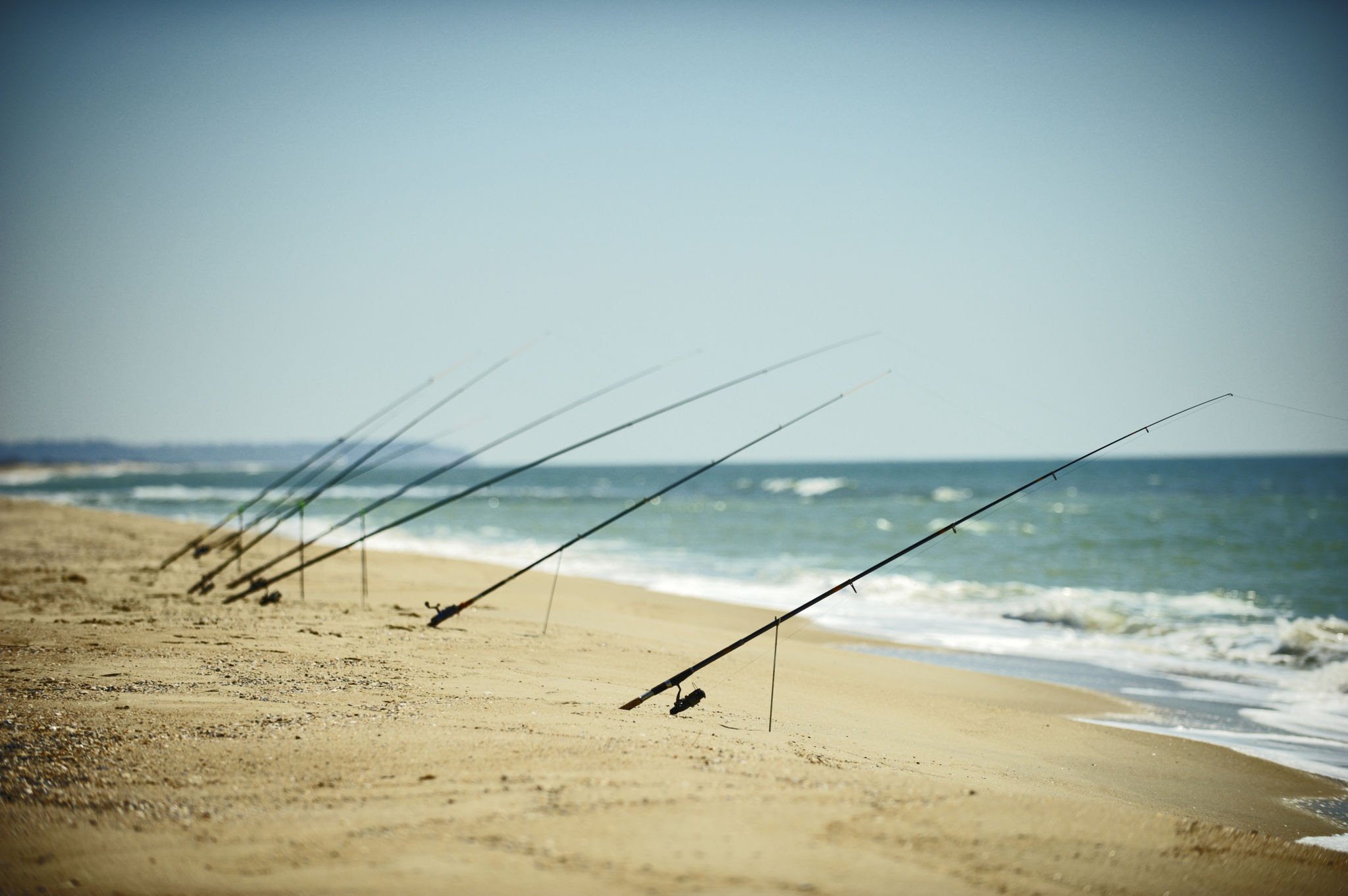 cleaning fishing reels