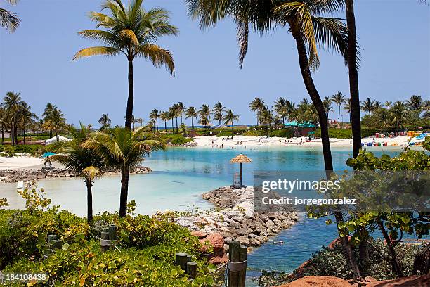 paradise island playa natural de las bahamas - bahamas fotografías e imágenes de stock