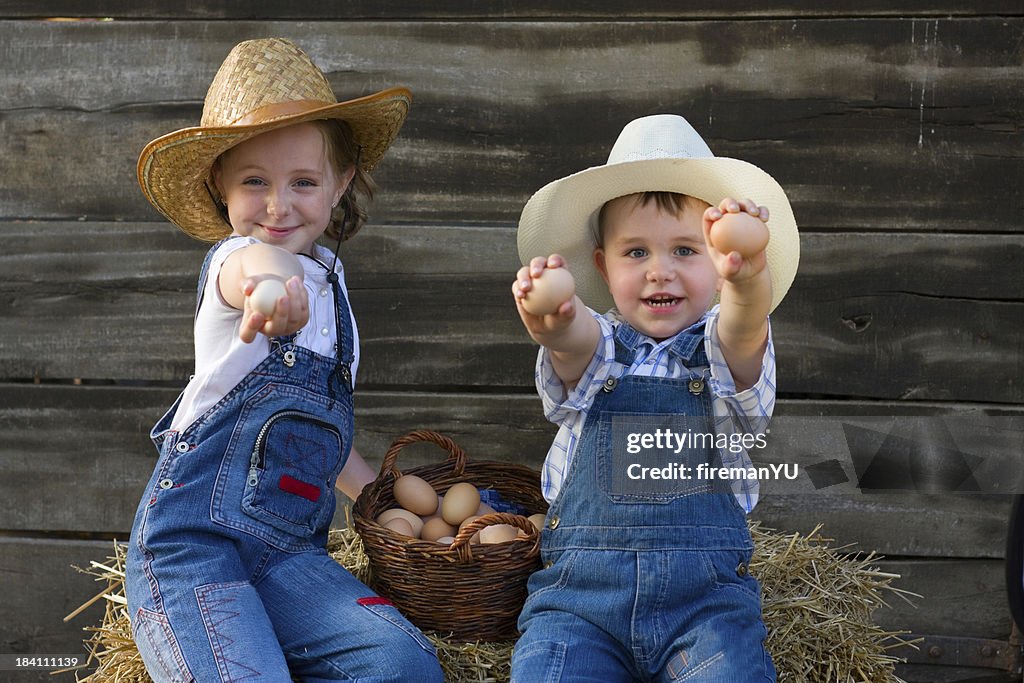 Sister and brother collecting eggs at farm.