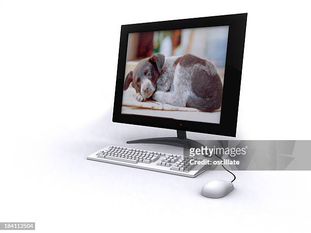 lcd monitor - oscillare stock pictures, royalty-free photos & images