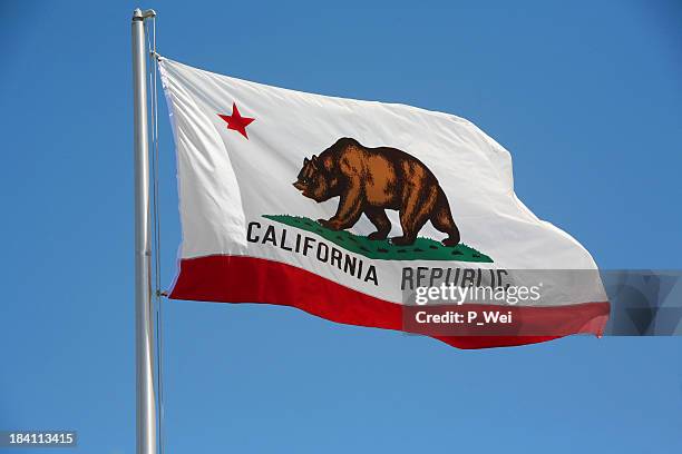 california republic flag with a brown bear on - california bear stock pictures, royalty-free photos & images