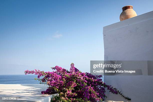 bougainvillea and white house in a mediterranean v - buganville foto e immagini stock