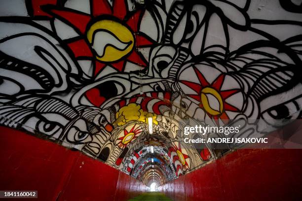 This photograph taken on December 11 shows murals inside the infamous tunnel of the Rajko Mitic Stadium in Belgrade, two days before the UEFA...