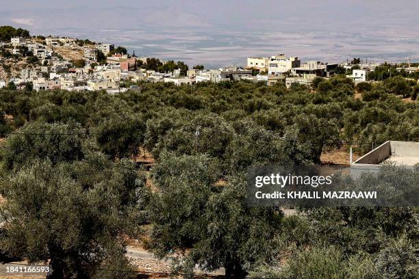 Picture shows a view of some of the oldest olive trees in Jordan at a farm in Ajlun Governorate, close to the Jordan River and the Israeli border, on...