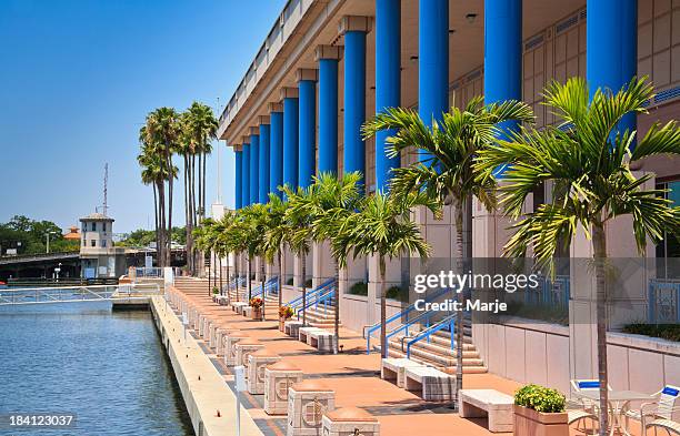 blue säulen und handflächen des tampa convention center - tampa stock-fotos und bilder