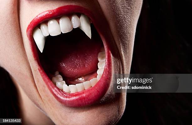 vampir s zahn - vampir stock-fotos und bilder