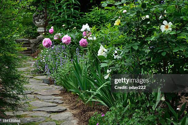 pretty garden path - peony stock pictures, royalty-free photos & images