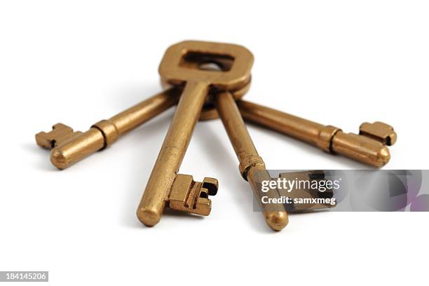 1,561 Ancient Keys Stock Photos, High-Res Pictures, and Images - Getty ...