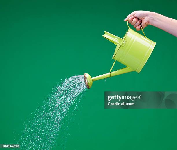 watering can - holding watering can stock pictures, royalty-free photos & images