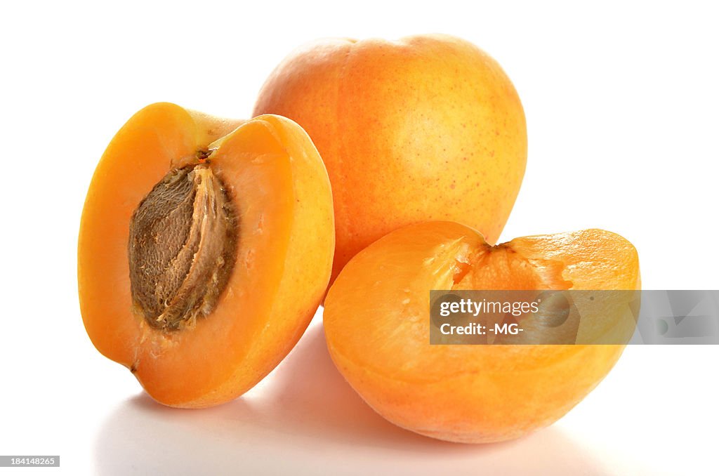 Apricot