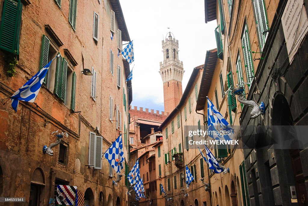 Flag of the Onda (Wave) in Contrada, Siena - Italy