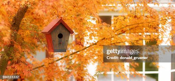 autumn birdhouse - birdhouse stock pictures, royalty-free photos & images