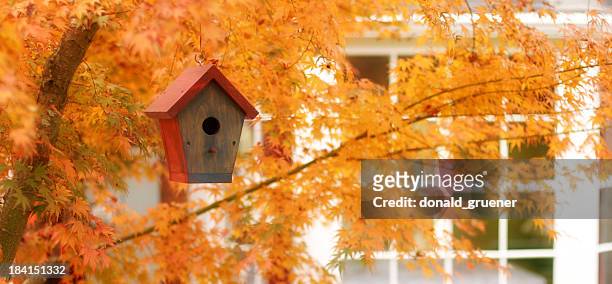 outono casa de pássaro - bird house imagens e fotografias de stock