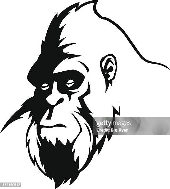 bigfoot gesicht - bigfoot stock-grafiken, -clipart, -cartoons und -symbole