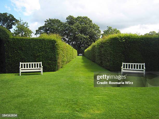 white garden benches and green hedges - tejo fotografías e imágenes de stock