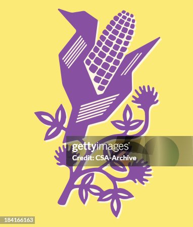 Corn Corn