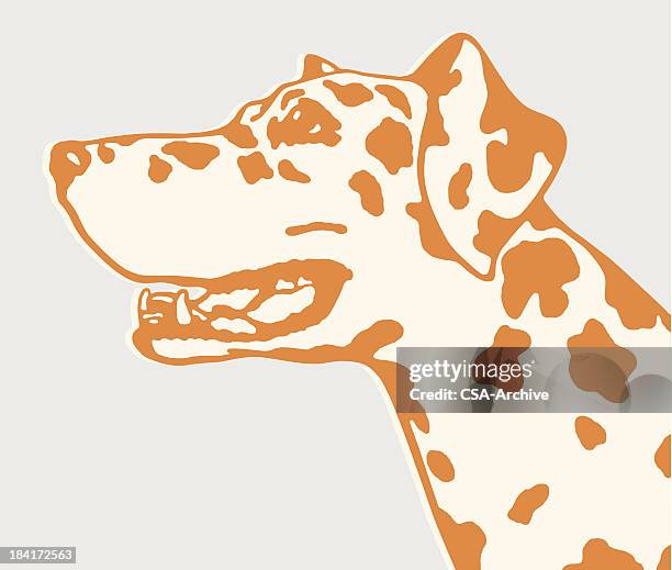 dalmatian dog - dalmatian stock illustrations