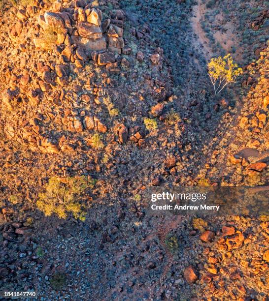 Aussie Outback Texture 921 Australian Bush Texture Stock Photos, High-Res Pictures, and Images ...