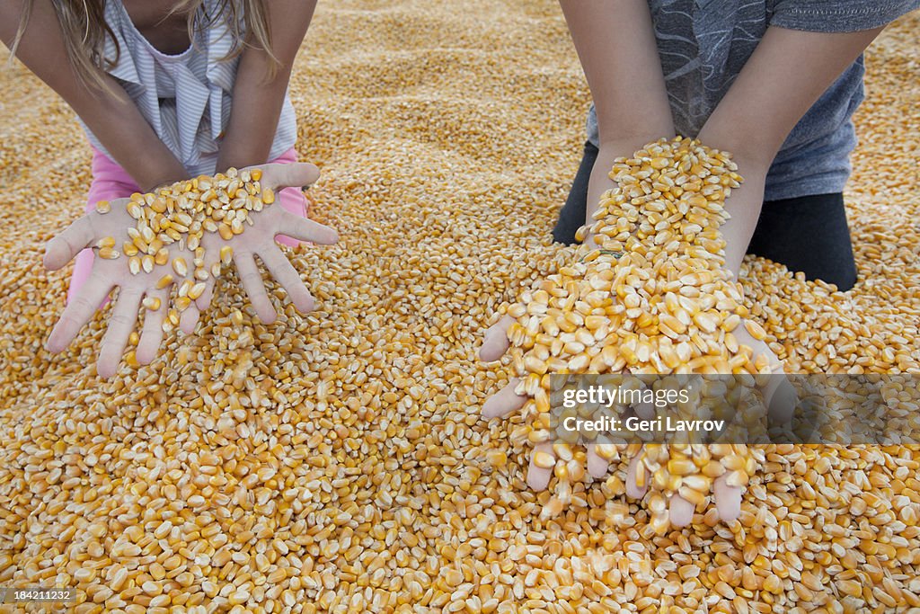 Two young girls holding corn kernels