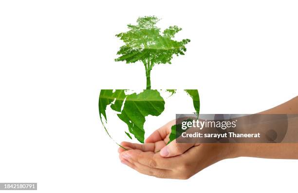 a tree with leaves of the world map, concept, environment, save the world - geology icon stock pictures, royalty-free photos & images