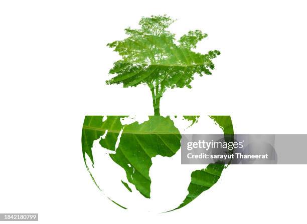 a tree with leaves of the world map, concept, environment, save the world - geology icon stock pictures, royalty-free photos & images