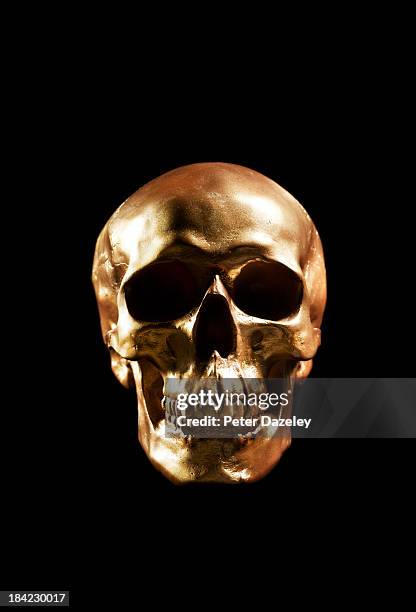 golden skull with copy space - skull stock-fotos und bilder