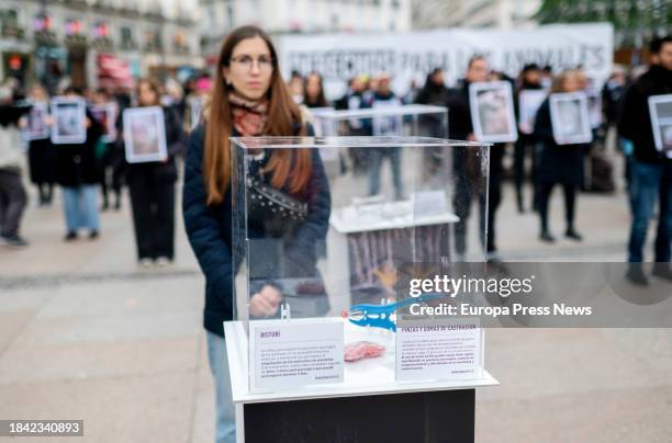 Display case exhibits a scalpel and castration pliers and rubber bands, during a rally for International Animal Rights Day, at Puerta del Sol, on...