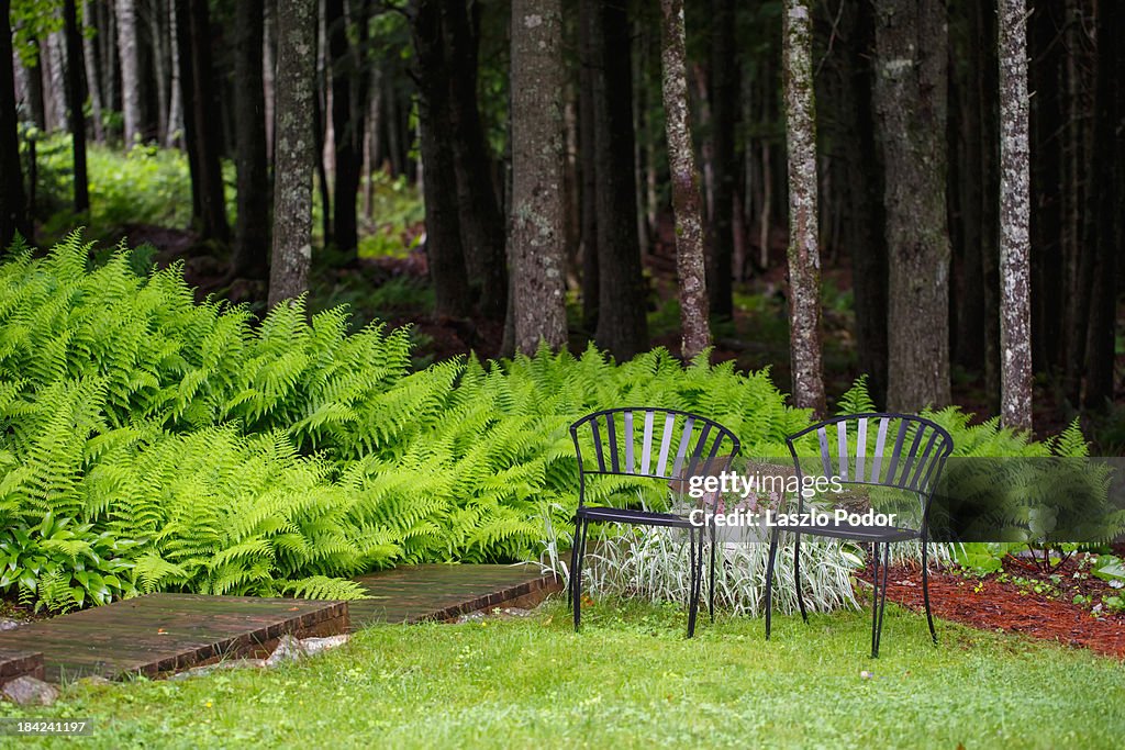 Backyard Seats