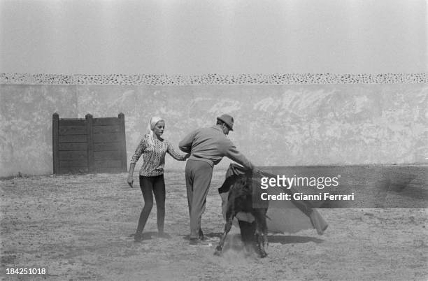 The Italian actress Virna Lisi on the farm æVilla PazÆ of the bullfighter Luis Miguel Dominguin, during a private bullfight with a small bull Cuenca,...