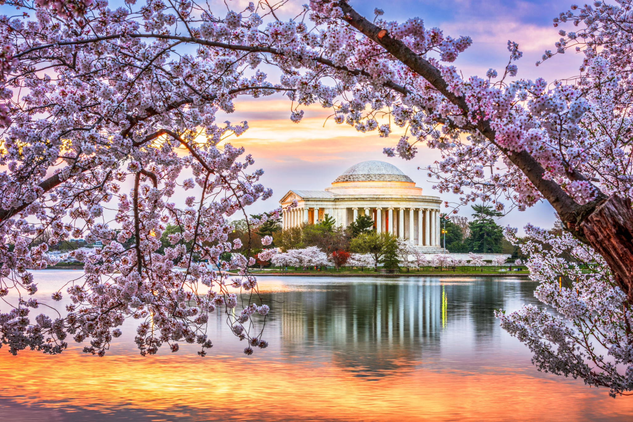 Washington DC in Spring Season Washington DC in Spring Season