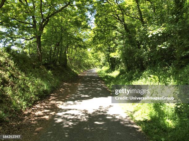 Tarka Trail between Bideford and Torrington, Devon, UK.