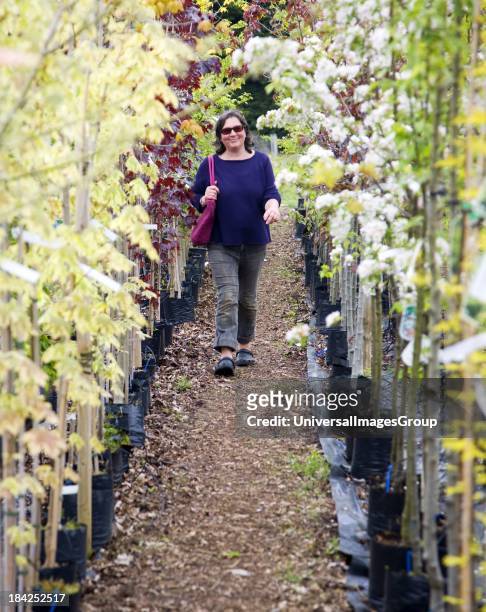 Model released woman walking past rows of colourful trees in blossom at a garden centre.
