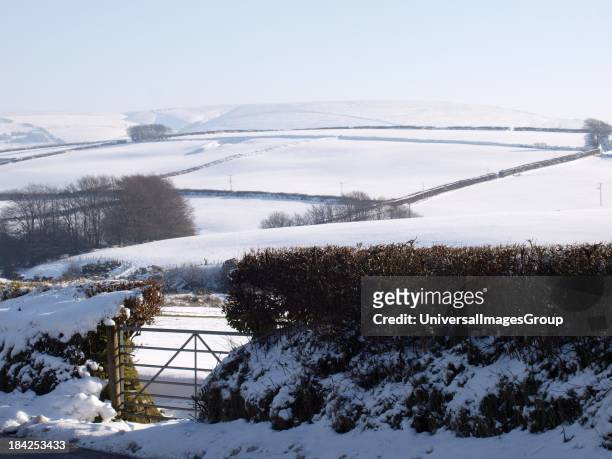 Field gate, Exmoor, UK in the snow, January.