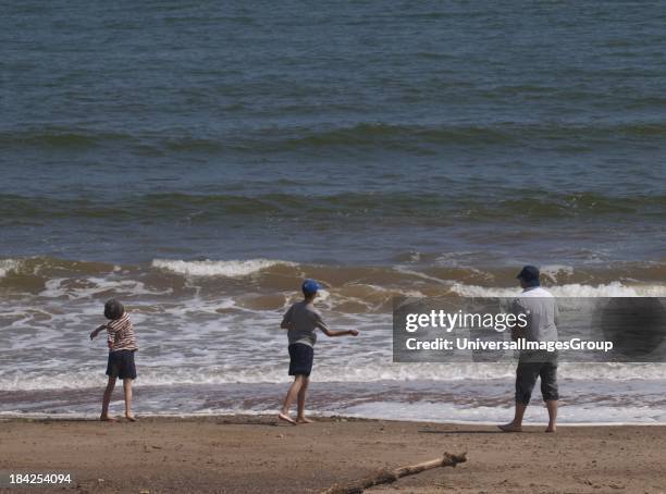 Father and sons skimming stones at the seaside, UK.