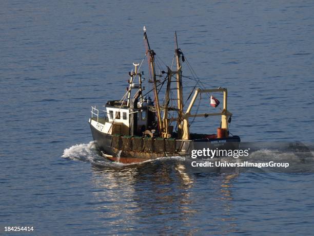 Morel Margh, A commercial scallop dredging trawler, Falmouth Bay, Cornwall, UK.