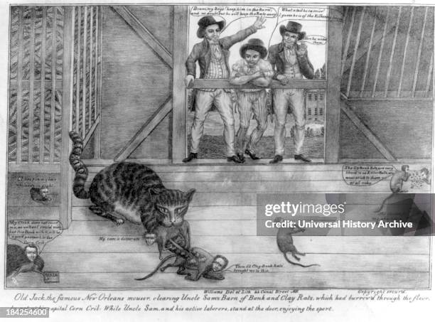 Old Jack, the famous New Orleans mouser, clearing Uncle Sam's barn of bank and Clay rats by Michael Williams, circa 1832. Lithograph print on wove...
