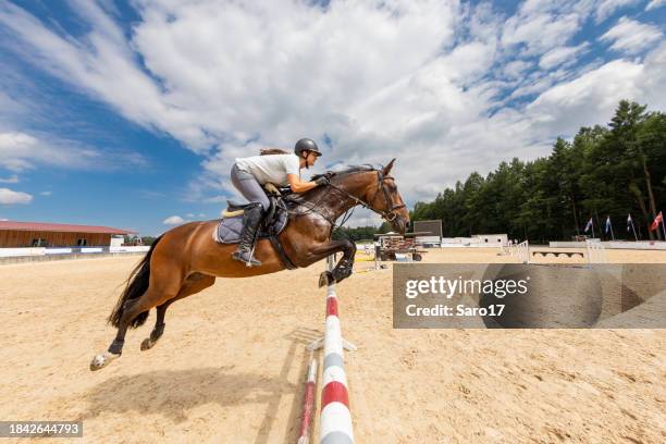 saltatrice a ostacoli femminile che attraversa l'ostacolo. - equestrian show jumping foto e immagini stock