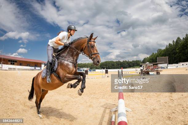 die hürde fokussieren. - horse racing jump stock-fotos und bilder